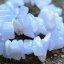 Náramek Chalcedon modrý AA kvalita, tromlovaný