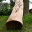 Didgeridoo Elephant 191 cm - jilm, ladění H - C