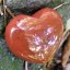 Jaspis - červené broušené srdce 40 mm