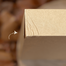 SLEVA: Bible Jubilejní, rodinná, luxusní edice