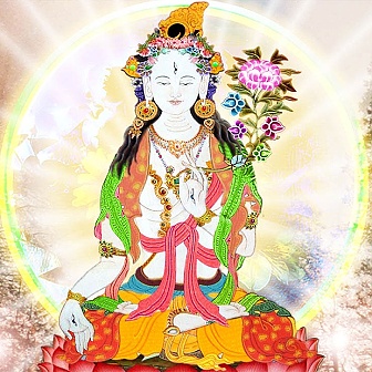 Tara