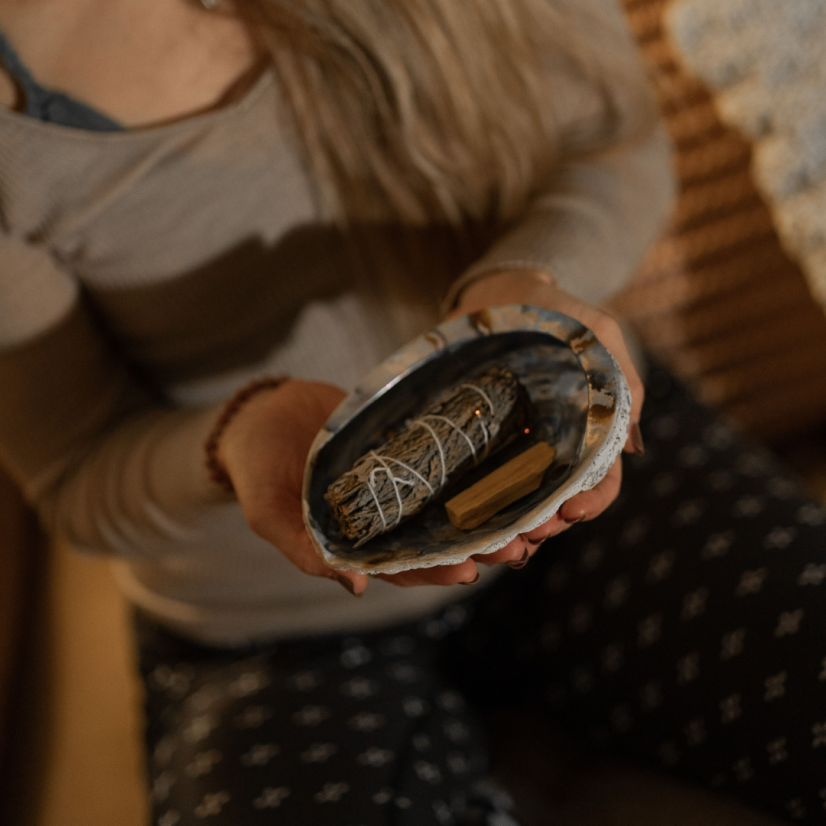 Mušle Abalone Shell