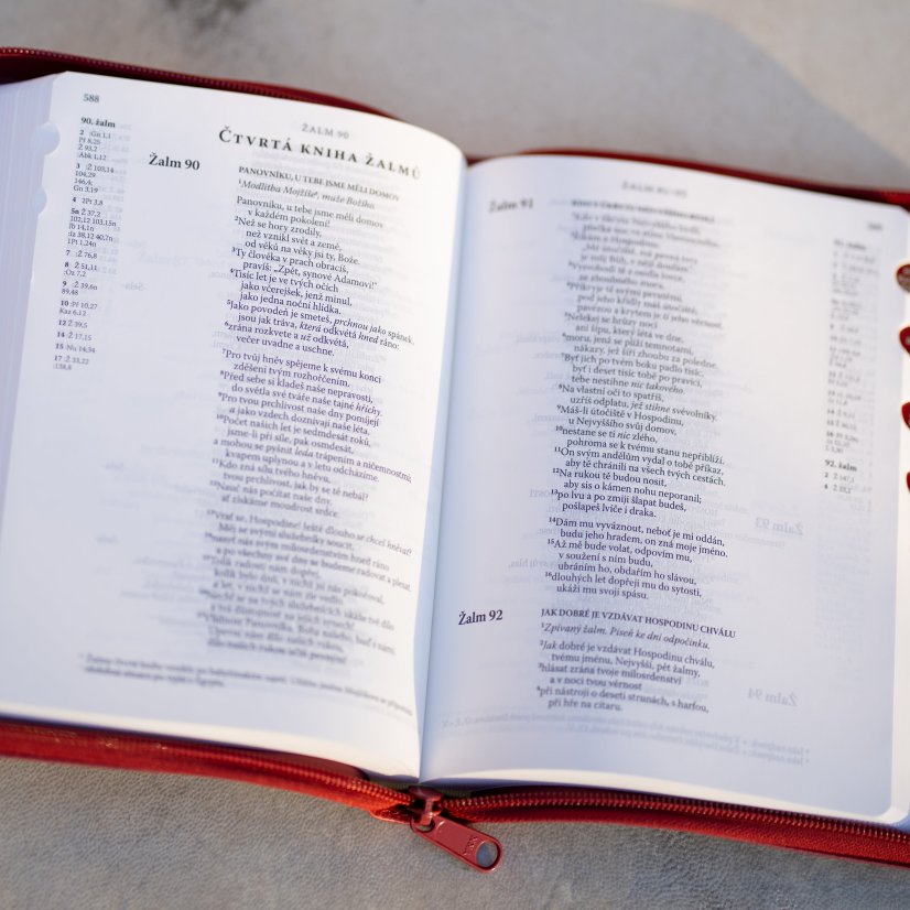 Bible ČEP bez DT, vínová, velký formát v obalu se zipem