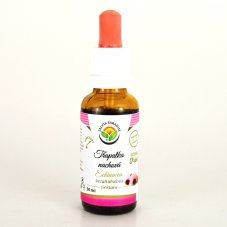 Echinacea - Třapatka nachová tinktura 30 ml