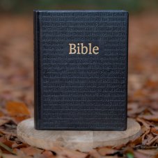 Bible Jubilejní, rodinná, luxusní edice