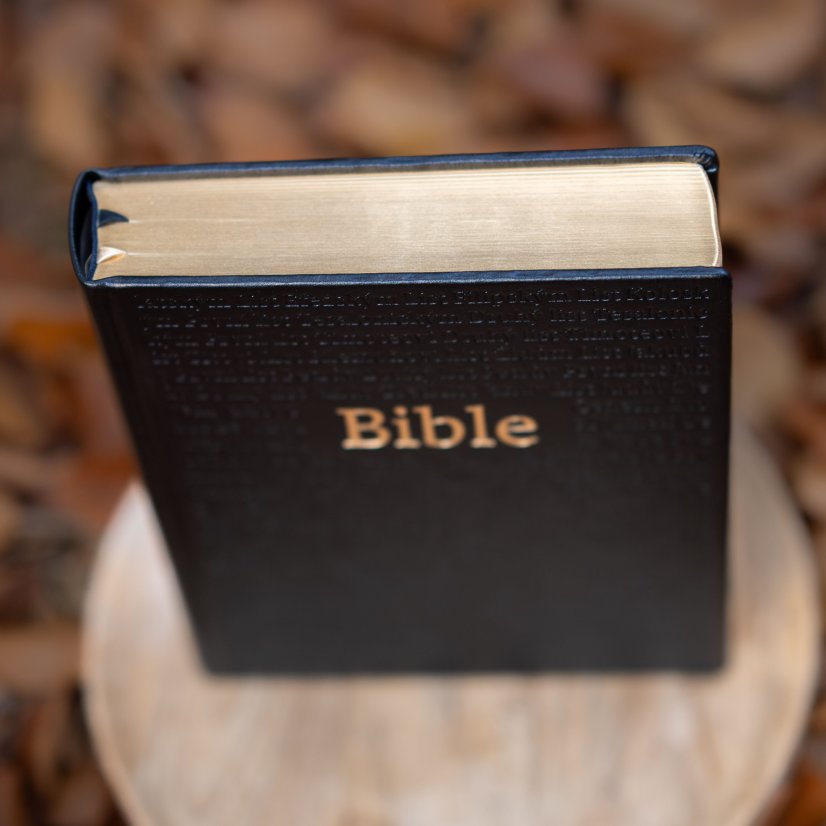 Bible Jubilejní, rodinná, luxusní edice