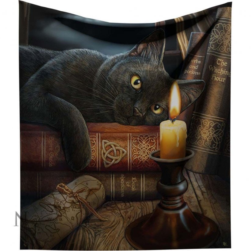 Pokrývka - deka fantasy - Černý kocour: Pán tajemství 160 cm