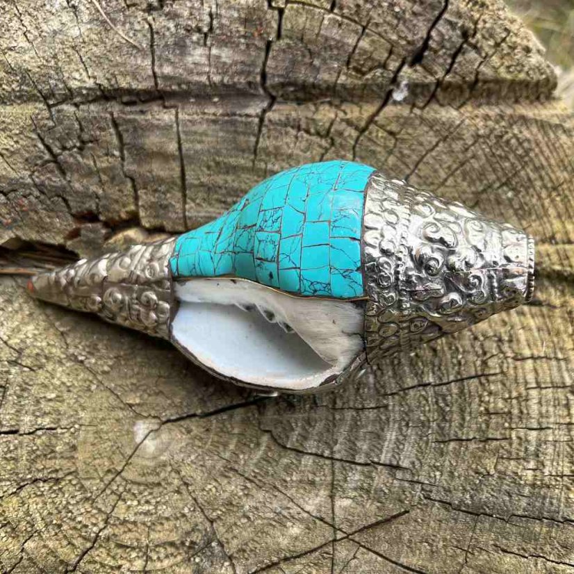 Rituální hudební nástroj Shankha- tyrkys